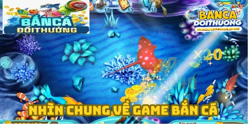 Bạn nên chọn các nhà cái uy tín như bancadoithuong