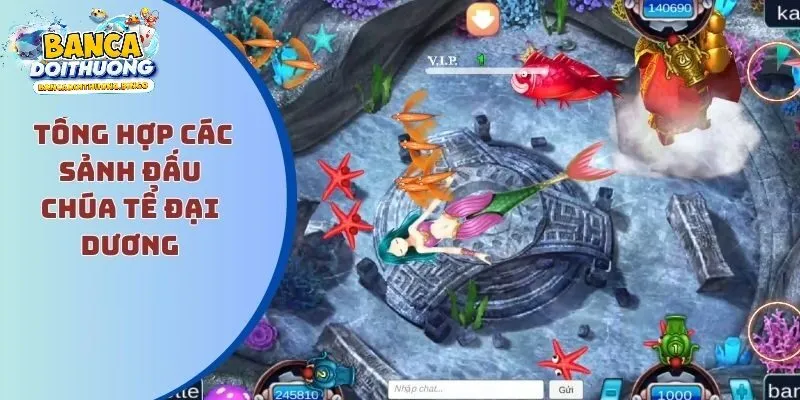 Khám phá các sảnh chơi đỉnh cao của chúa tể đại dương